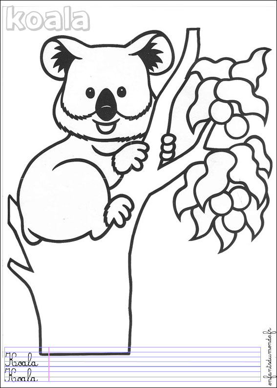 coloriage koala 1